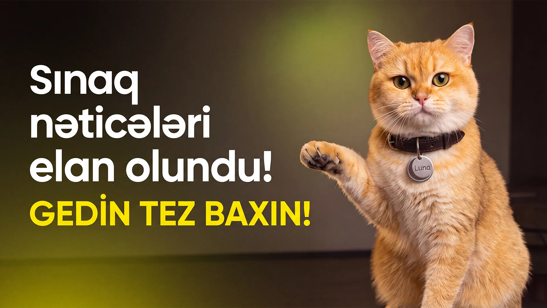 Sinaq neticeleri ELAN OLUNDU! 25.10.26